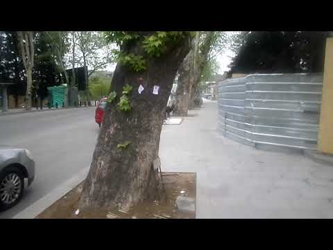 MAKLIERI LADO//LADOSAXLEBI//ტ.593165823.მშრალი ხიდიდან - მაკლიერების ბირჟა.TBILISI-ისევ კარანტინშია.