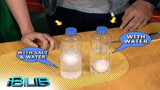 iBilib: Testing the density of an egg over water