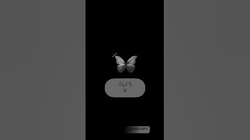 آيات تريح القلب 🌸