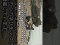 日本のヨガと違うヨーガスートラの心の教えとは 第3章第八節 Shorts Short ヨガ ヨーガスートラ ヨガの呼吸法 呼吸法 イメージワーク ストレス トラウマ 日本のヨガと違うヨーガスートラの心の教えとは 第3章第八節 Shorts Short ヨガ ヨーガスートラ ヨガの呼吸法 呼吸法 イメージワーク ストレス トラウマ