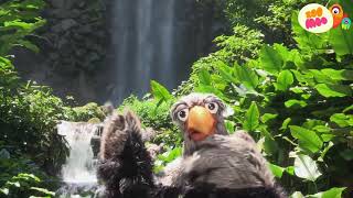 Zoomoo - Este Es Mi Hogar Español