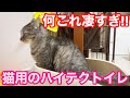 猫用のハイテクトイレがめっちゃ良き‼️