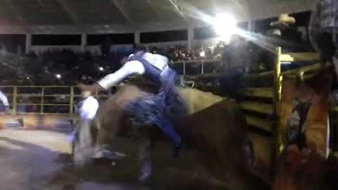 WINNING RIDE: Julio Fraire rides Toeras