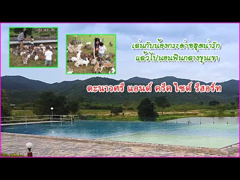 ตะนาวศรี แอนด์ ครีค ไซด์ รีสอร์ท สวนผึ้ง ราชบุรี Tanaosri & Creekside Resort Suan Phueng Ratchaburi