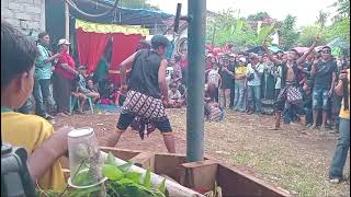 #celengsrenggifika " Jaranan Dewi Sekar Wangi Delik " di Banjarsari Glagah Bwi #jaranan#kesurupan 