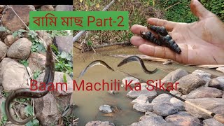 Baami Mas || Baam Machili Ka Sikar || বামি মাছ Part-2