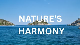 Nature’s Harmony: Relaxing Sounds of Sea, Forests, Waterfalls & Mountains | 4K Scenic Ambience