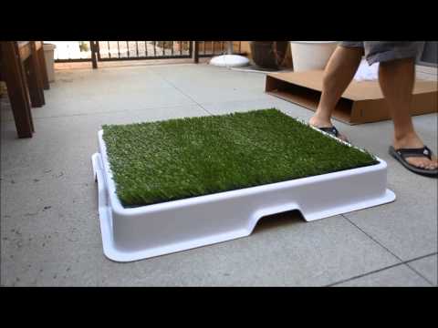urban-potty---the-best-designed-dog-potty-for-the-urban-dog-owner