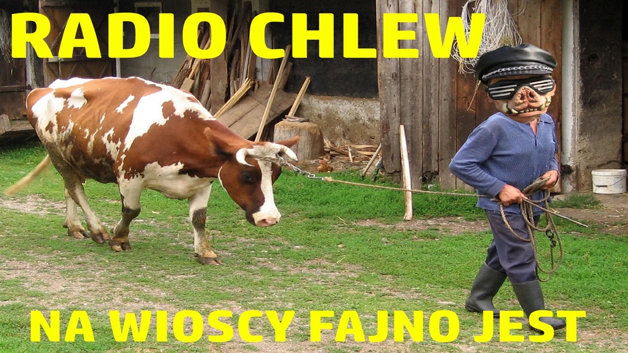 Odtwarzacz wideo YouTube