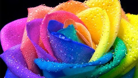 Frad - First Date {Slowed} {One Hour}