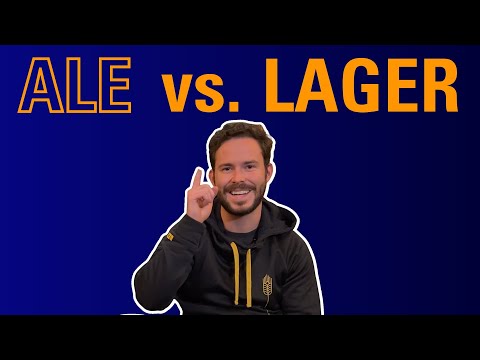 Ale Vs Lager (Guía definitiva) 