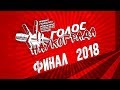 Голос наукограда Фрязино - Финал