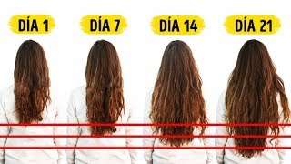 Esquiar sabor dulce Cliente 7 Alimentos Que Necesitas Para Acelerar El Crecimiento Del Cabello - YouTube