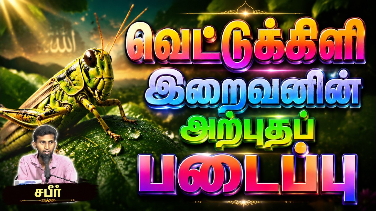 வெட்டுக்கிளி! இறைவனின் அற்புதப் படைப்பு┇சபீர்┇12-07-26┇Way to Paradise