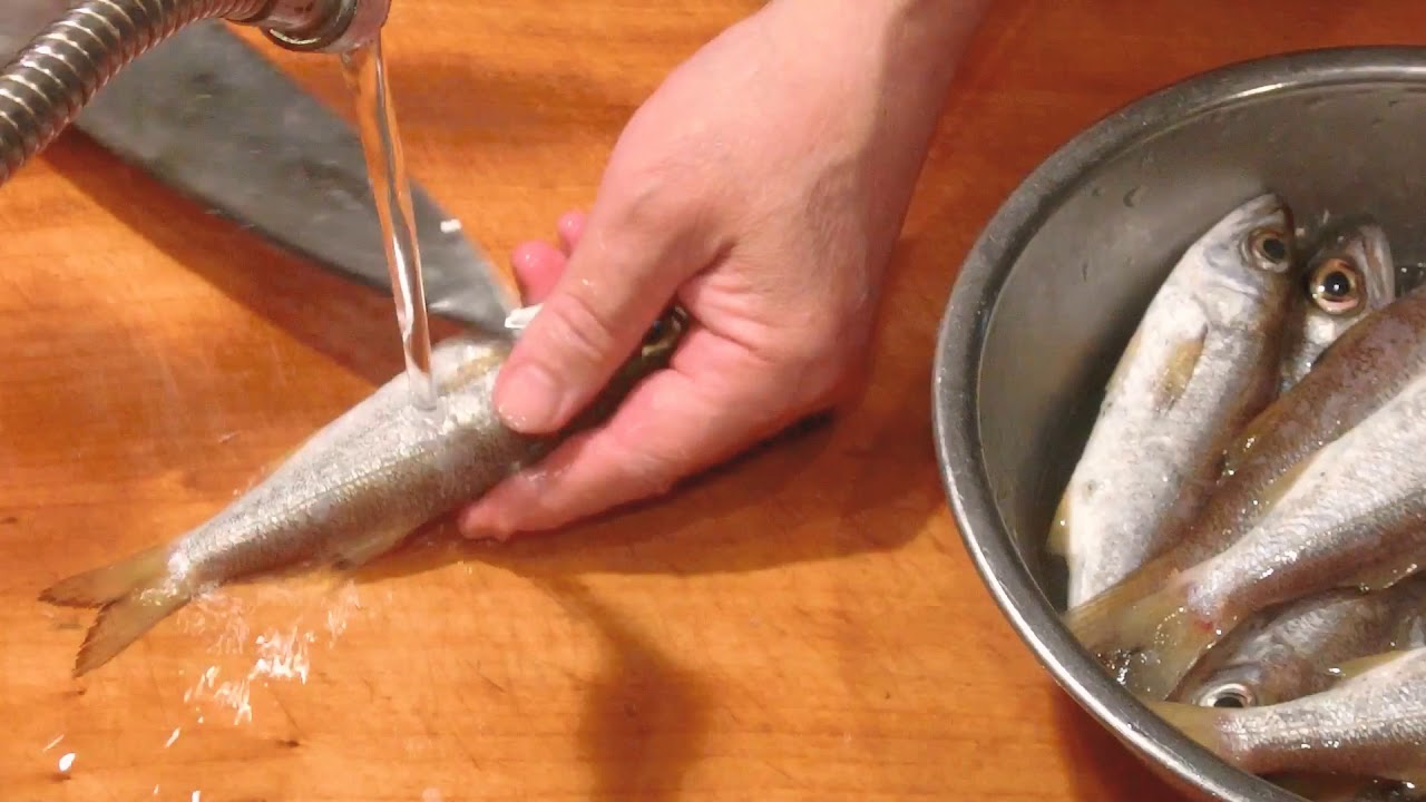 黒ムツの刺身 大和の 和の料理 刺身 Youtube