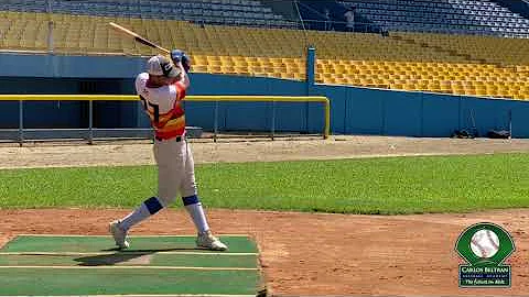 Luis Fargas- Carlos Beltran Baseball Academy