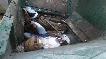 Labrie automizer Mack LR garbage truck hopper view pt2