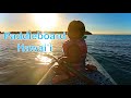 Paddleboarding with ava  paddleboard hawaii  blue planet surf  bret kilauea