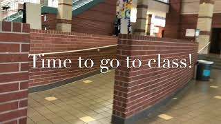 Welcome to Cypress Springs High School