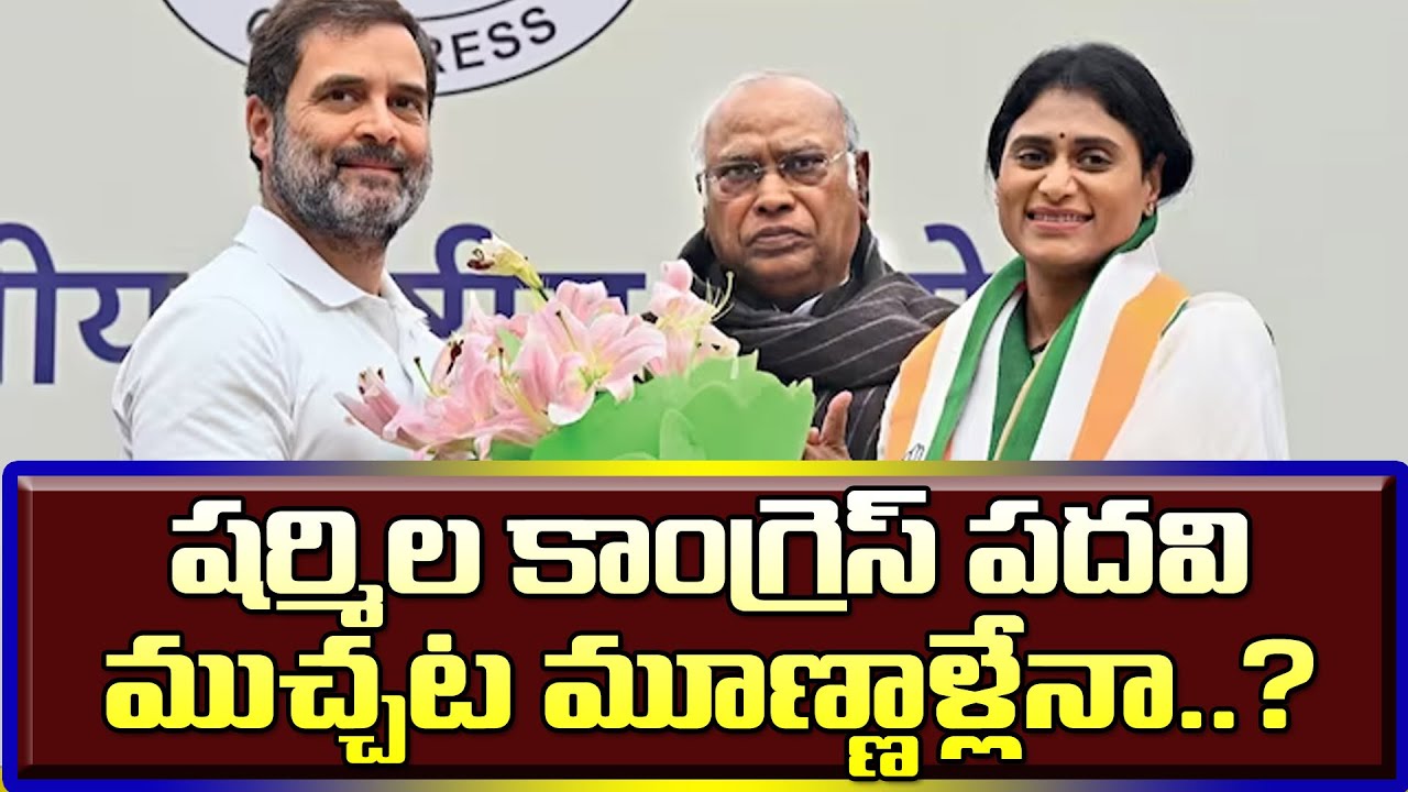 how-long-will-ys-sharmila-s-pcc