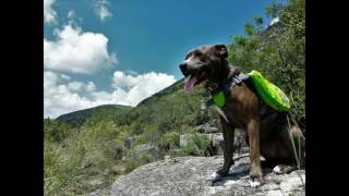 Devils River Trip