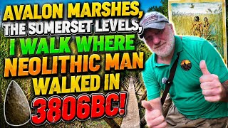 AVALON MARSHES THE SWEET TRACK, WALKING IN THE FOOTSTEPS OF NEOLITHIC MAN!