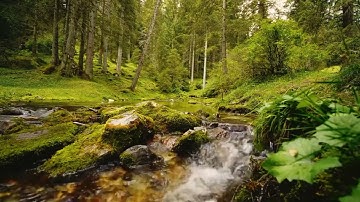 سورة القلم ،جزء تبارك كاملا،تلاوة اسلم صبحي .
