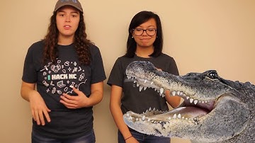 Comparisons in TypeScript