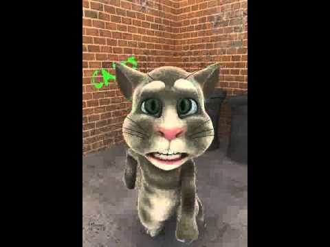 Talking tom cat