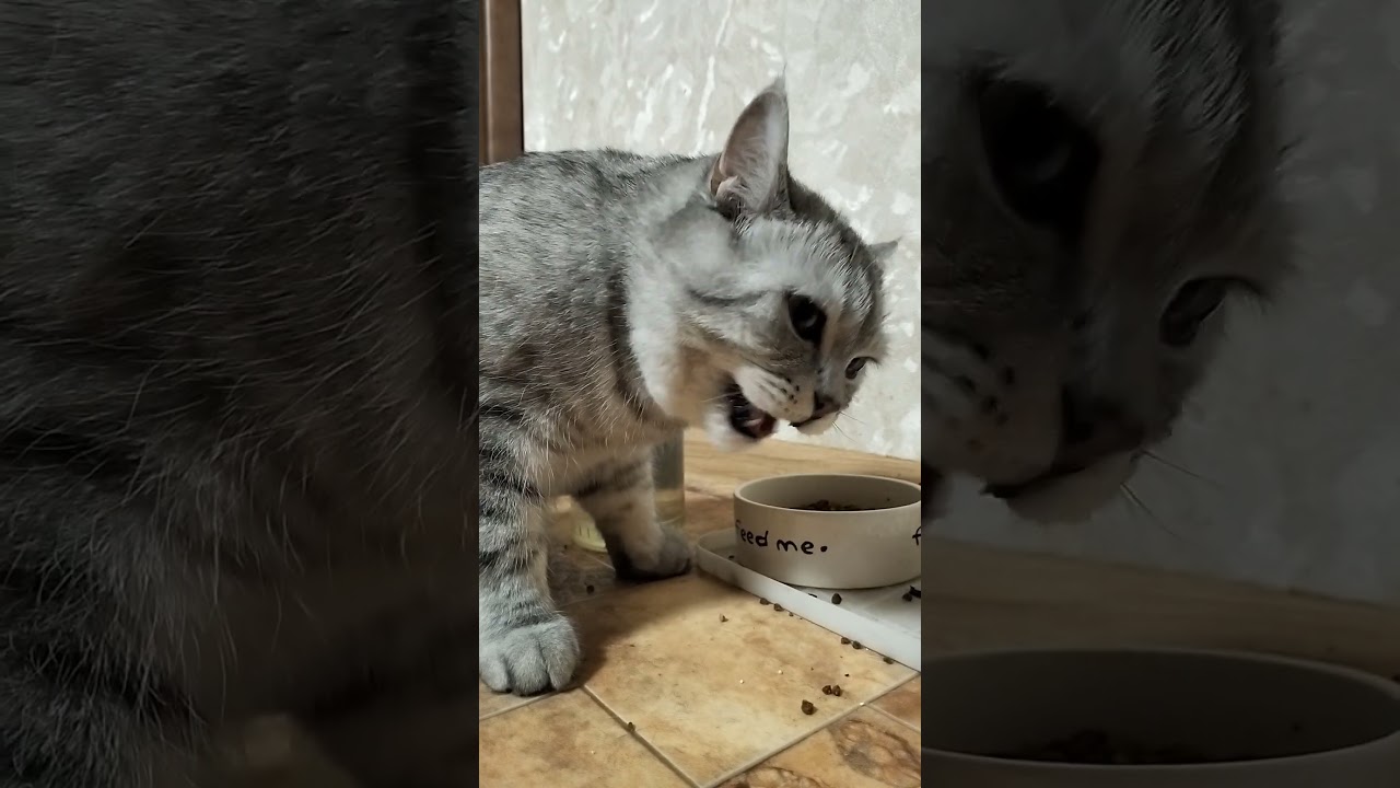 Сбежавший зэк 