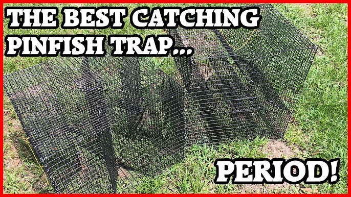 Pinfish Traps 