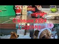 Поздравляю с новым 2024 годом! #новыйгод#2024#мирживотных#рекомендации