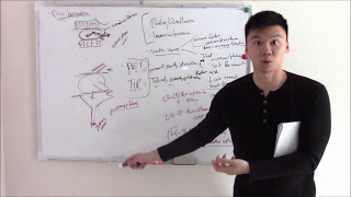 USMLE Neurology 19 Neuroanatomy: Lower Limb Anatomy and Pathology