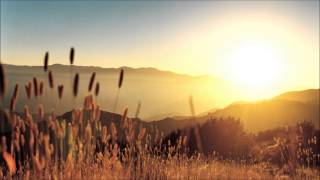 Sappheiros - Drift on (Copyright and Royalty Free)