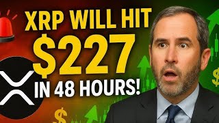 Download Lagu CEO van Ripple voorspelt dat XRP binnen 48 uur naar $227 stijgt! MP3 Download Lagu CEO van Ripple voorspelt dat XRP binnen 48 uur naar $227 stijgt! MP3