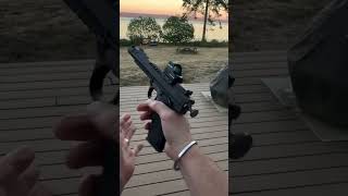 Volquartsen 6 Black Mamba