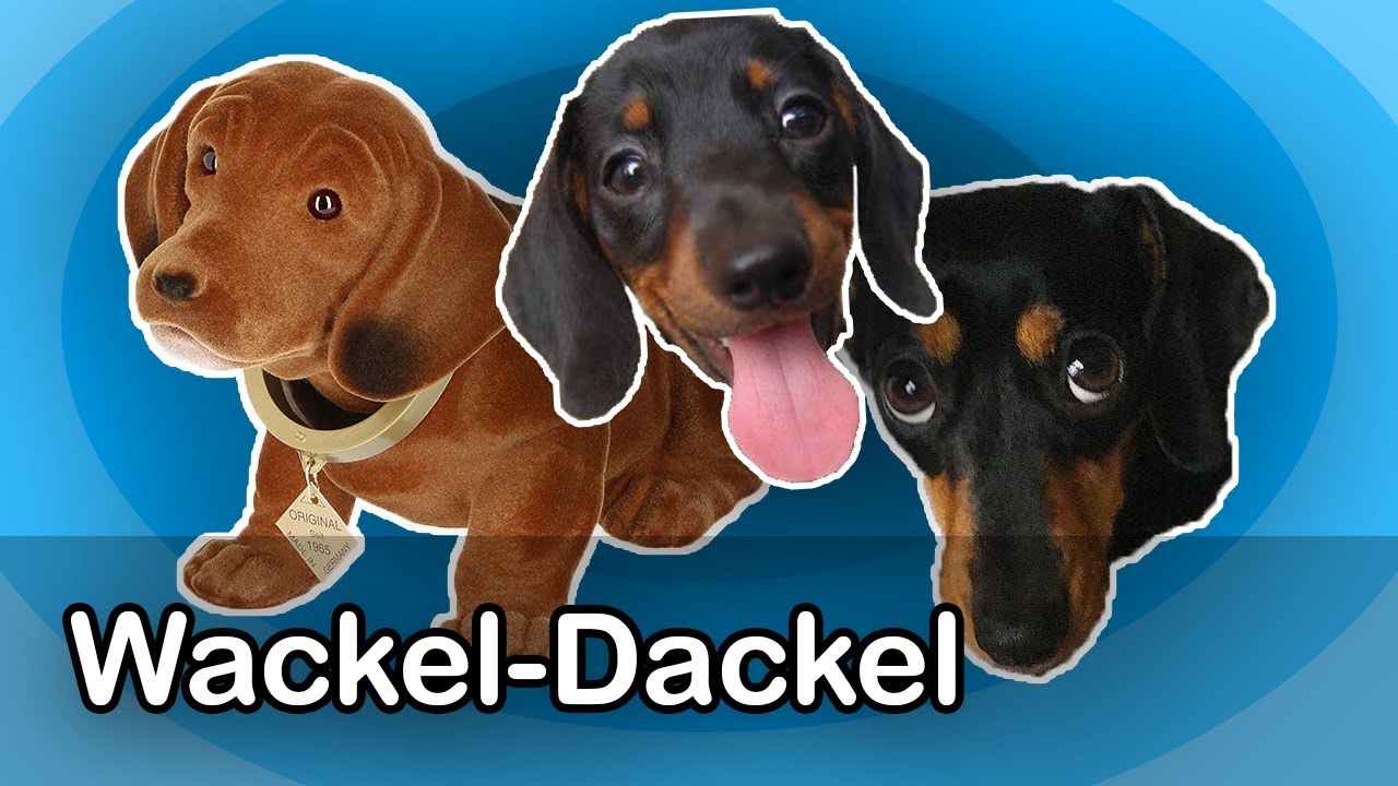 WACKEL-DACKEL  BLUATSCHINK Kinderlieder 