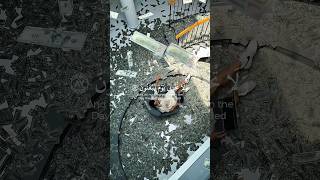 قران #Quran # wisam  #ياسر_الدوسري #quran_alkarim #fyp #viral