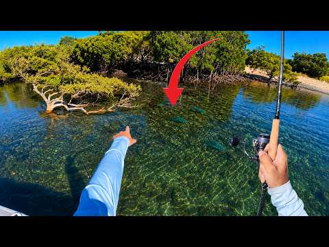 SOLO Exploring Tropical Islands | Catch & Cook |