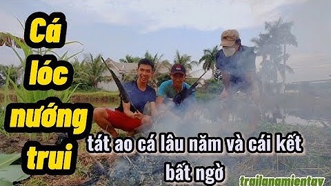 Tát  cạn cái ao lâu năm bắt cá lóc | Cá lóc nướng trui kiểu miền Tây | Trai làng miền Tây.