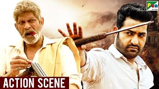 Jr. NTR  - Best Action Scene | Aravind Sametha | Jagapathi Babu, Pooja Hegde | Hindi Dubbed Movie