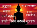     lord gautam buddha meaningful words for us motivational in nepali