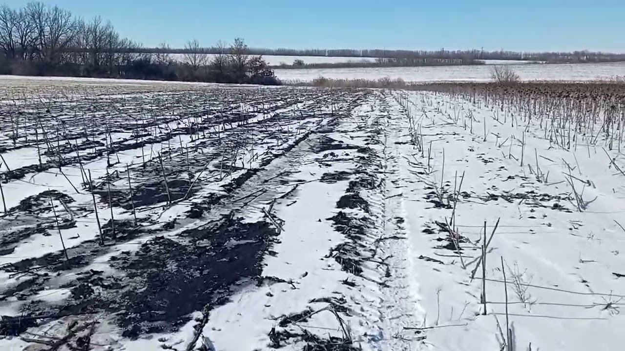 Далеко від дому