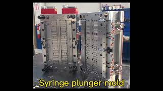 Syringe plunger mold, Plastic injection molding, Multi cavity mold, Mold manufacturer, Medical Mold