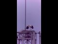 コウノトリのヒナの巣立ちを離れて見守ろう!(水戸市) 2026.6.6