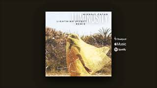 Mikhail Catan - Luminosity Lightning Effect Remix