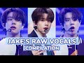 JAKE S Raw Vocals Compilation Happy Jake Day 