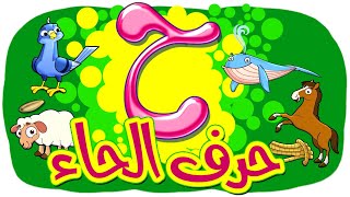 حرف الحاء - قناة بلبل BulBul TV