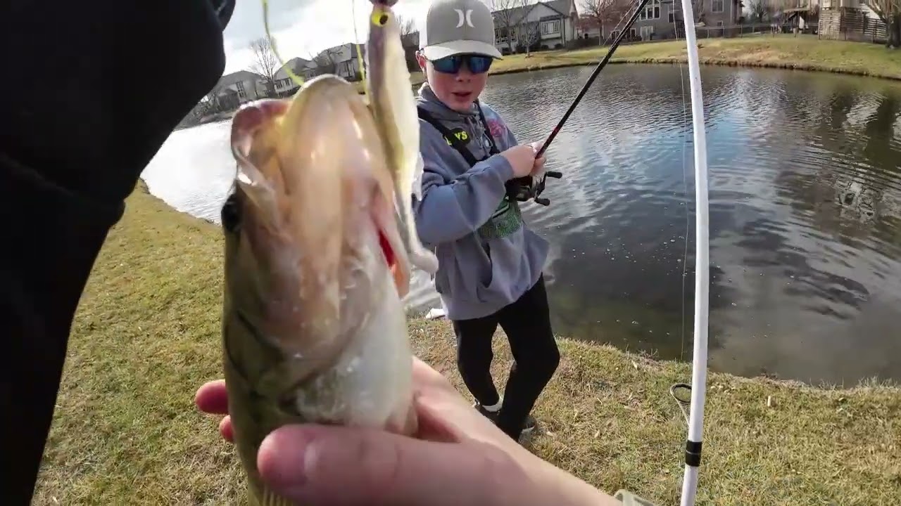 attack of the geese #fishing #bassfishing #fish #bass #fyp