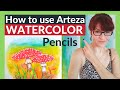 How To Use Arteza Watercolor Pencils (Toadstool Tutorial!)